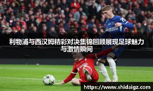 中欧体育