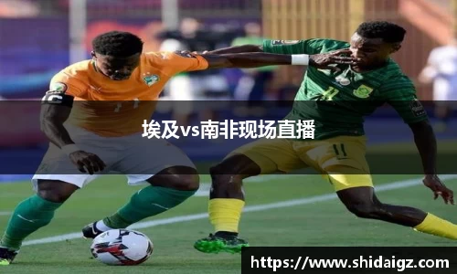 zoty中欧体育网站